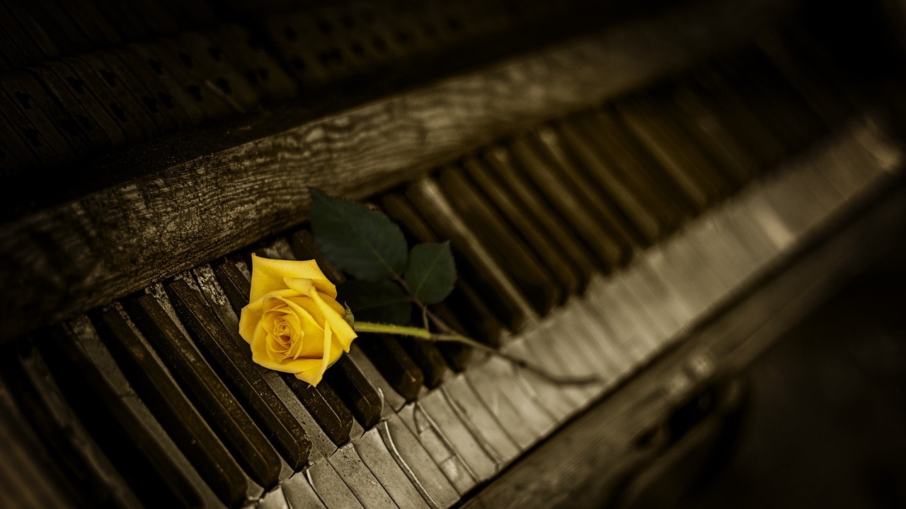 piano, rose, yellow
